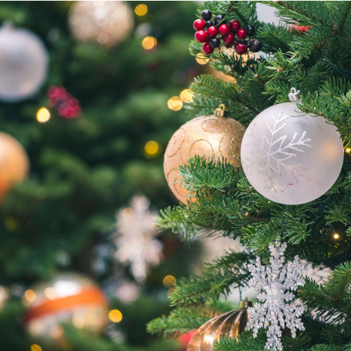 Festive Memories at a Photo Shoot Studio in Naples