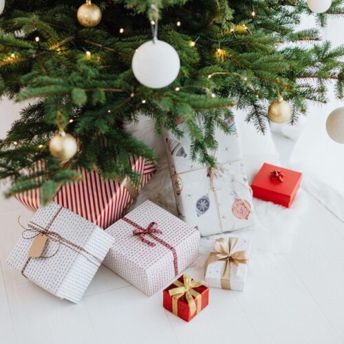 The Noble Fir: A Timeless Choice